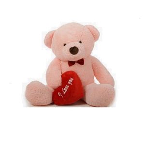 Teddy Bear-4